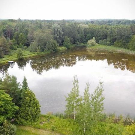 Cottage Retreat On 11 Acres Flesherton 外观 照片