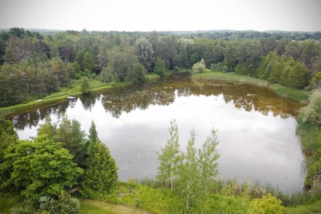 Cottage Retreat On 11 Acres Flesherton 外观 照片
